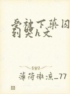 受被下药囚禁脔到哭h文