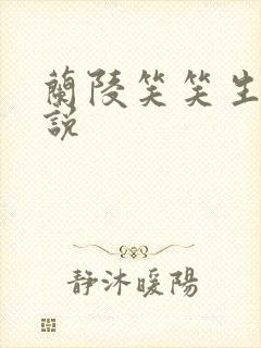 兰陵笑笑生的小说