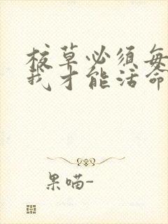 校草必须每天吸我才能活命[穿书]