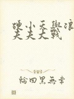 硬小天与浪小辉夫夫大战