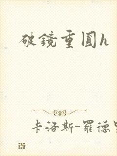 破镜重圆h