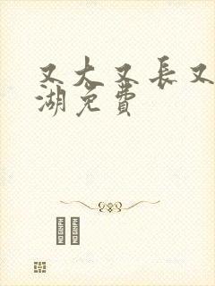 又大又长又租高湖免费