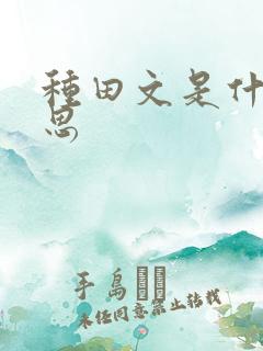 种田文是什么意思
