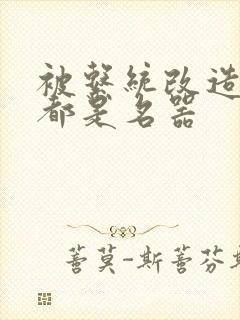 被系统改造全身都是名器