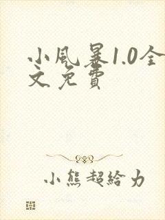 小风暴1.0全文免费