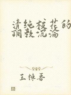 清纯校花的堕落调教沉沦