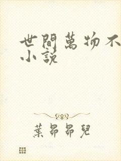 世间万物不及你小说