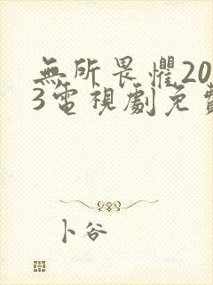 无所畏惧2023电视剧免费观看