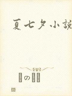 夏七夕小说