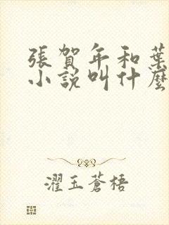 张贺年和叶繁姿小说叫什么名字