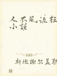 人不风流枉少年小说
