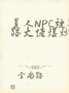 美人NPC被各路大佬爆炒小说