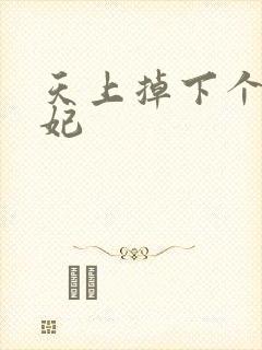 天上掉下个奇王妃