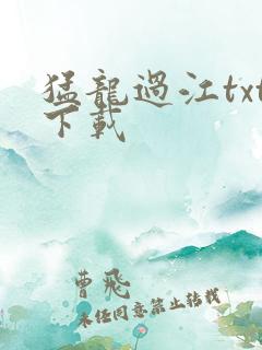 猛龙过江txt下载