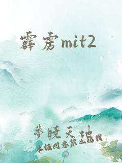 霹雳mit2