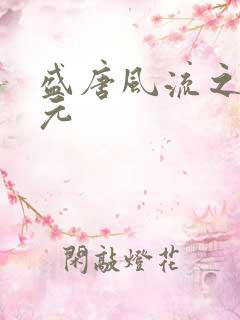 盛唐风流之武状元