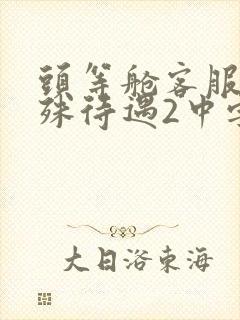 头等舱客服的特殊待遇2中字