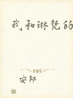 我和琳梵的故事