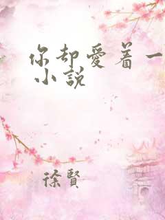 你却爱着一个他 小说