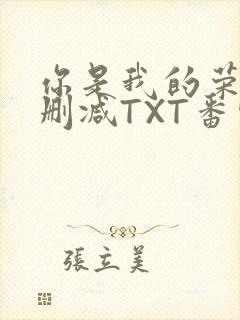 你是我的荣耀未删减TXT番外