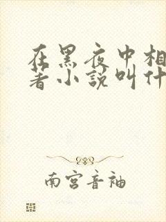 在黑夜中相拥原著小说叫什么