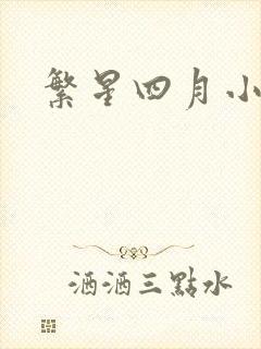 繁星四月小说