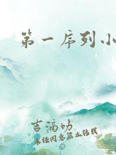 第一序列小说