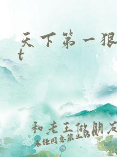 天下第一狠txt