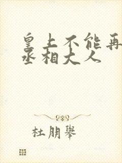 皇上不能再进了丞相大人