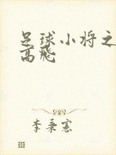 足球小将之展翅高飞