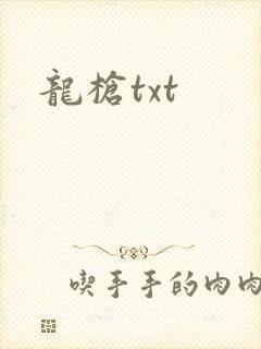 龙枪txt