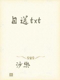 目送txt