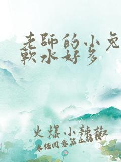 老师的小兔子好软水好多