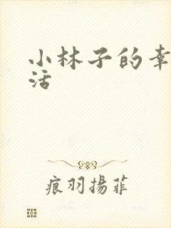 小林子的幸福生活