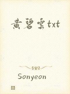 黄碧云txt