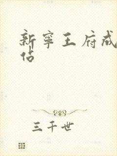 新宁王府成人网站