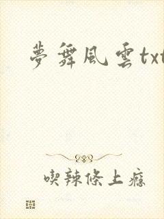 梦舞风云txt