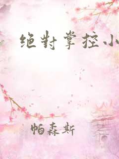 绝对掌控小说