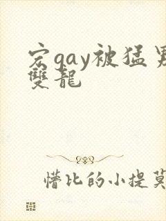 宏gay被猛男双龙