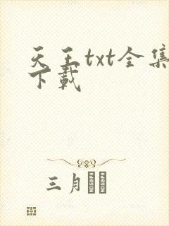 天王txt全集下载