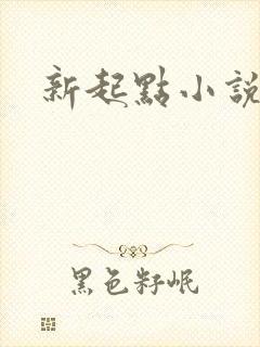 新起点小说网