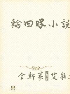 轮回眼小说