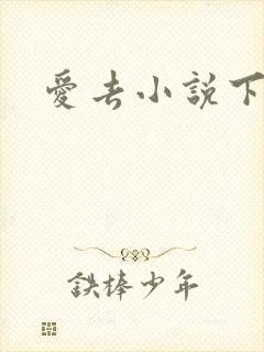 爱去小说下载网