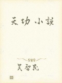 天功 小说