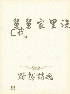 舅舅家里没人快C我