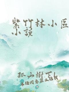 紫竹林小区快递小说