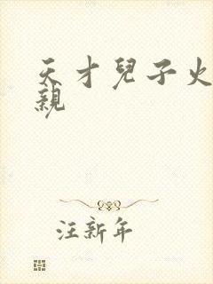 天才儿子火爆娘亲