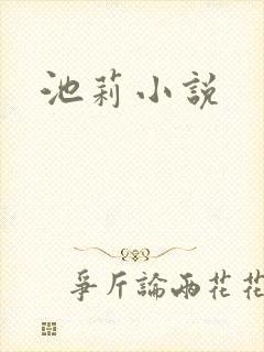 池莉小说
