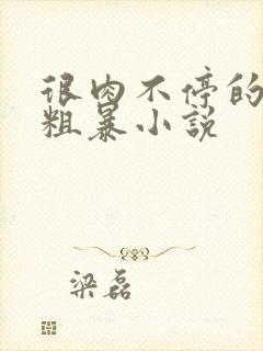 很肉不停的做很粗暴小说