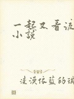 一起又看流星雨小说